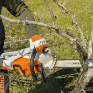 Akumulatorowa pilarka łańcuchowa Stihl MSA 220 C-B w akcji 2